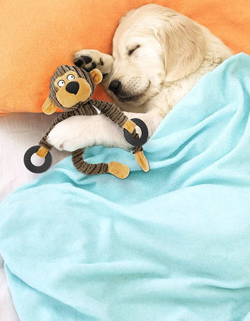 Load image into Gallery viewer, Squeaky Puppy Toys Plush Puppy Chew Toys for Teething Training Dog Toys for Small Dogs Toys for Cute Monkey Interactive Dog Toys