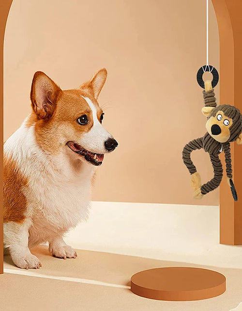Load image into Gallery viewer, Squeaky Puppy Toys Plush Puppy Chew Toys for Teething Training Dog Toys for Small Dogs Toys for Cute Monkey Interactive Dog Toys