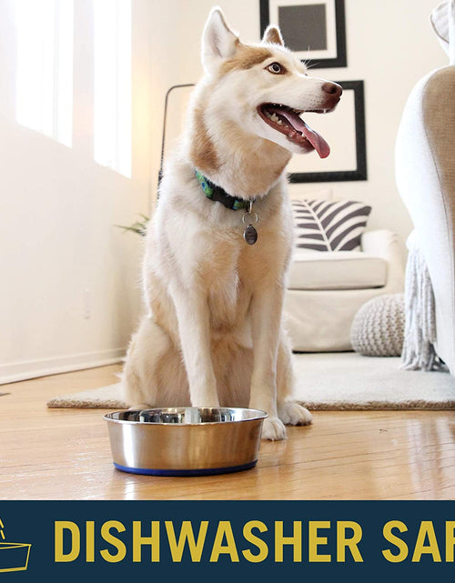 Load image into Gallery viewer, Durapet Dog Bowls, Dog Food Bowls & Dog Water Bowls (Stainless Steel Dog Bowl to Replace Ceramic Dog Bowls) Large Dog Bowls, Dog Bowls Medium Sized Dogs & Dog Bowls Small Size Dog