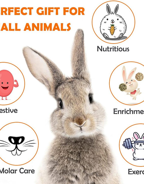 Load image into Gallery viewer, Rabbit Toys Bunny/Guinea Pig Toys Natural Timothy Hay Hamster Toys for Teeth Handmade Chews and Treats Apple Wood Sticks Chinchilla Rat