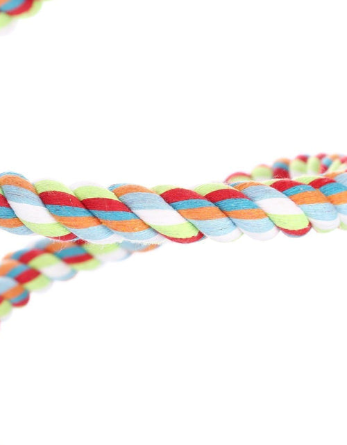 Load image into Gallery viewer, Bird Perch, Large Parrot Toys 63 Inch Climbing Rope Bungee Bird Toys