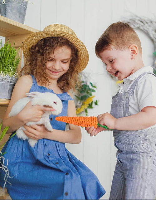 Load image into Gallery viewer, Rabbit Toys Bunny/Guinea Pig Toys Natural Timothy Hay Hamster Toys for Teeth Handmade Chews and Treats Apple Wood Sticks Chinchilla Rat