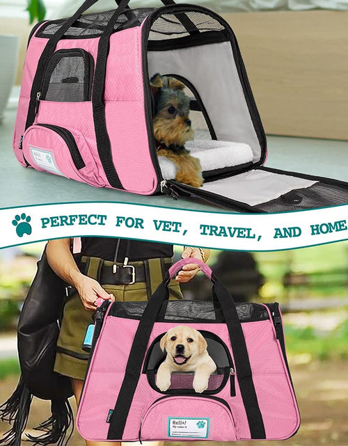 Load image into Gallery viewer, Airline Approved Pet Carrier for Cat, Soft Sided Dog Carrier for Small Dogs, Cat Travel Supplies Accessories for Indoor Cats, Ventilated Pet Carrying Bag Medium Large Kitten Puppy, Large Pink