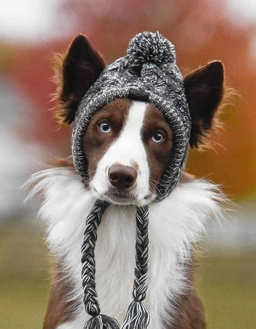 Load image into Gallery viewer, Winter Warm Dog Hats Windproof Knitting French Bulldog Hat for Dogs Chihuahua Hat Fluffy Ball Puppy Accessories Pet Hats