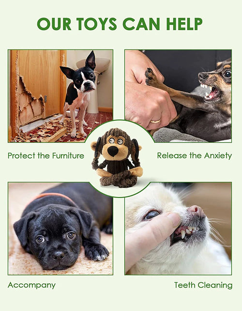 Load image into Gallery viewer, Squeaky Puppy Toys Plush Puppy Chew Toys for Teething Training Dog Toys for Small Dogs Toys for Cute Monkey Interactive Dog Toys