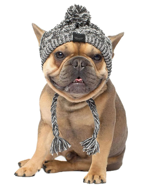 Load image into Gallery viewer, Winter Warm Dog Hats Windproof Knitting French Bulldog Hat for Dogs Chihuahua Hat Fluffy Ball Puppy Accessories Pet Hats