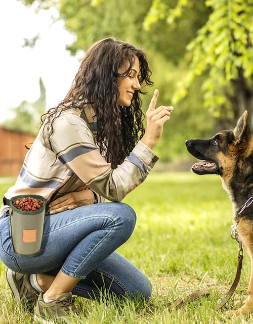 Load image into Gallery viewer, Portable Dog Treat Bag Puppy Training Treat Snack Bag Large Capacity Dog Training Snack Reward Waist Bag Pet Feed Pocket