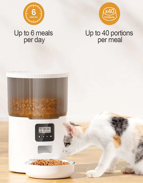 Load image into Gallery viewer, 4L Pet Feeder Tuya WIFI Automatic Dog Food Dispenser Smart Cat Feeder 2L Cat Automatic Drinking Fountain Dog Water Feeder
